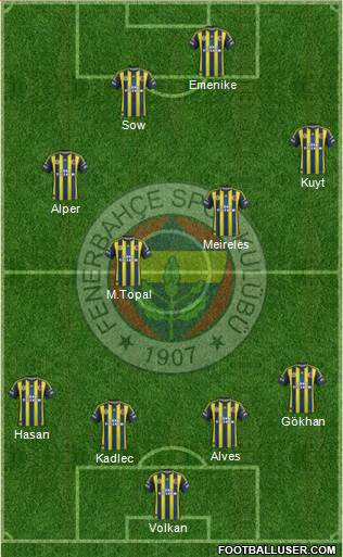 Fenerbahçe SK Formation 2013