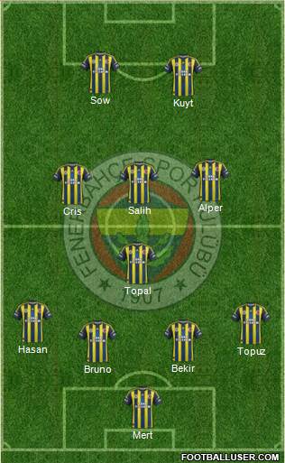 Fenerbahçe SK Formation 2013