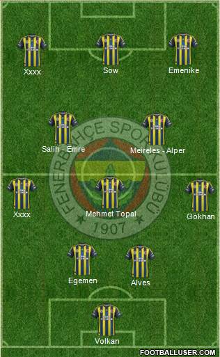 Fenerbahçe SK Formation 2013