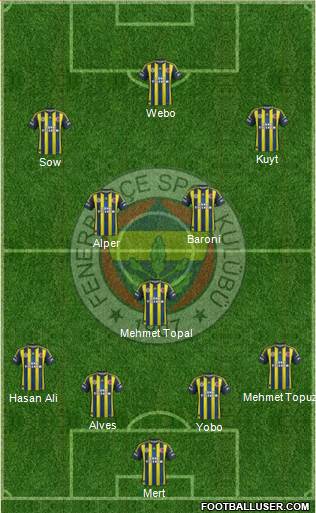 Fenerbahçe SK Formation 2013