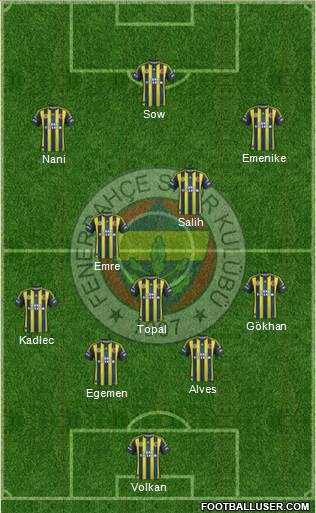 Fenerbahçe SK Formation 2013