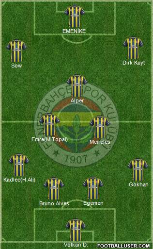 Fenerbahçe SK Formation 2013