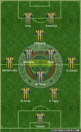 Fenerbahçe SK Formation 2013