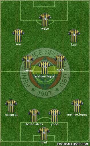 Fenerbahçe SK Formation 2013