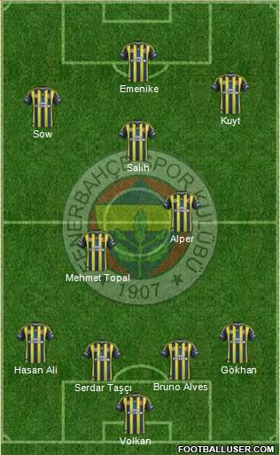 Fenerbahçe SK Formation 2013