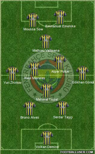 Fenerbahçe SK Formation 2013