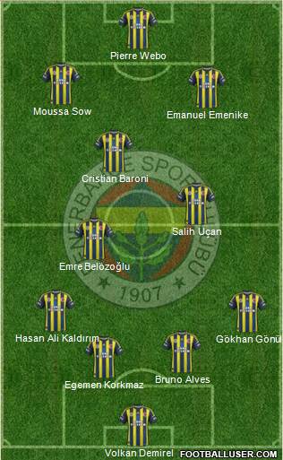 Fenerbahçe SK Formation 2013