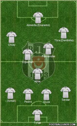 Besiktas JK Formation 2013