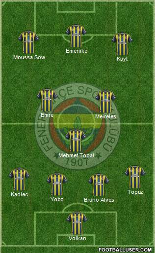 Fenerbahçe SK Formation 2013