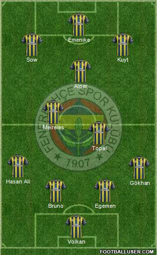 Fenerbahçe SK Formation 2013