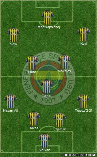 Fenerbahçe SK Formation 2013