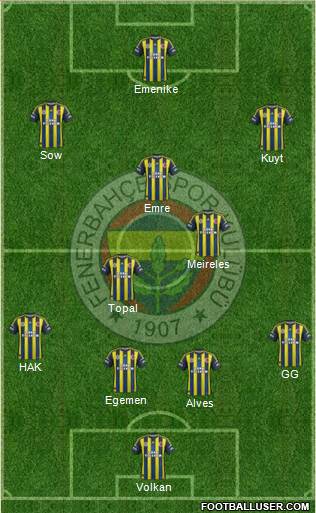 Fenerbahçe SK Formation 2013