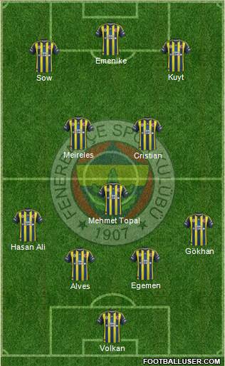 Fenerbahçe SK Formation 2013