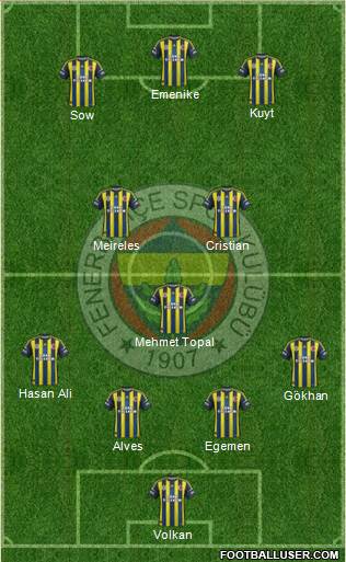 Fenerbahçe SK Formation 2013