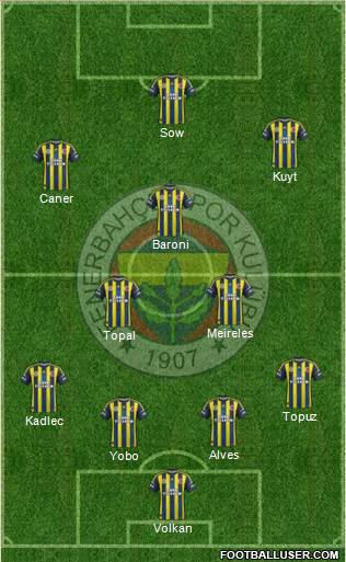 Fenerbahçe SK Formation 2013