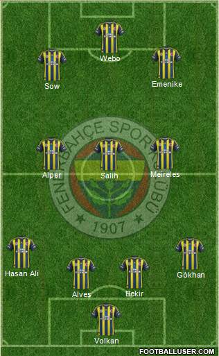 Fenerbahçe SK Formation 2013