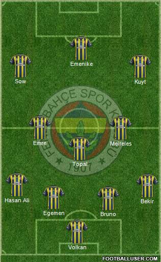 Fenerbahçe SK Formation 2013