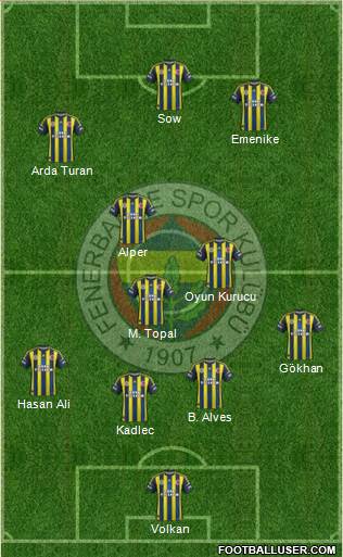 Fenerbahçe SK Formation 2013