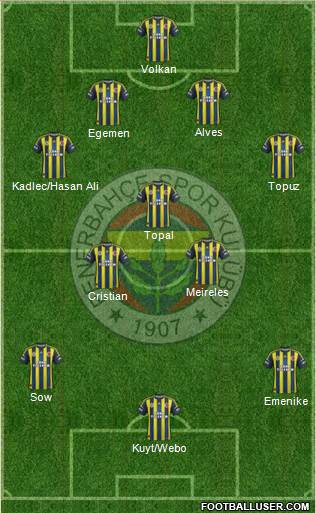 Fenerbahçe SK Formation 2013