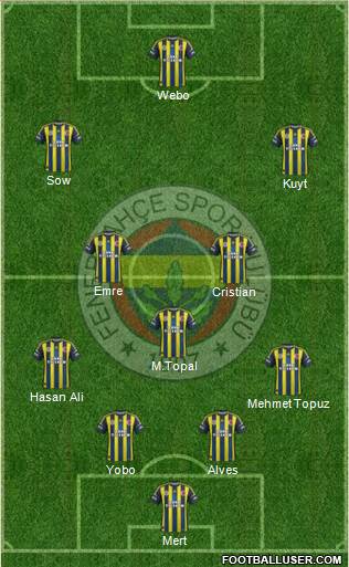 Fenerbahçe SK Formation 2013