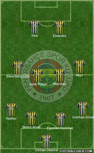 Fenerbahçe SK Formation 2013