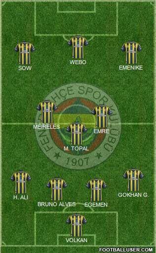 Fenerbahçe SK Formation 2013