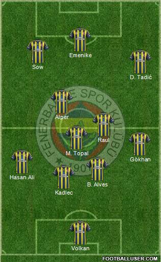 Fenerbahçe SK Formation 2013