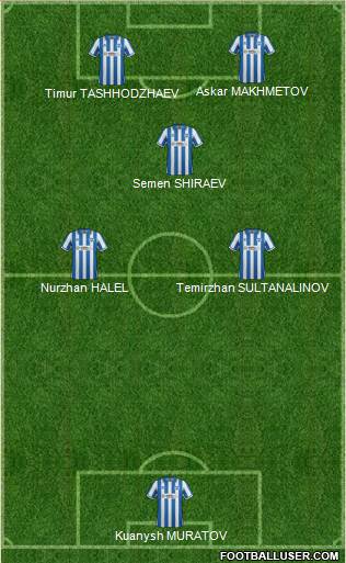 Brighton and Hove Albion Formation 2013