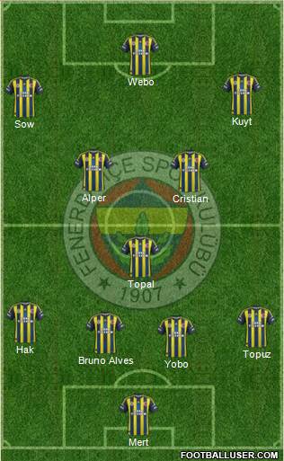 Fenerbahçe SK Formation 2013