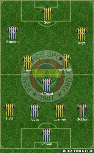 Fenerbahçe SK Formation 2013