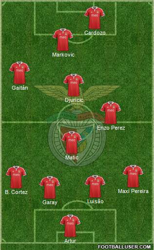 Sport Lisboa e Benfica - SAD Formation 2013