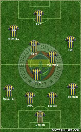 Fenerbahçe SK Formation 2013