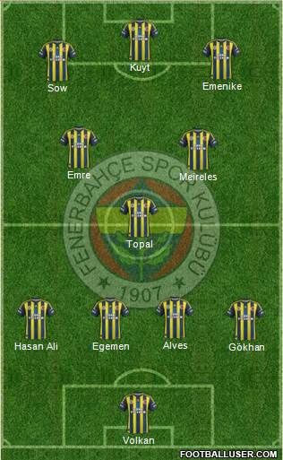 Fenerbahçe SK Formation 2013