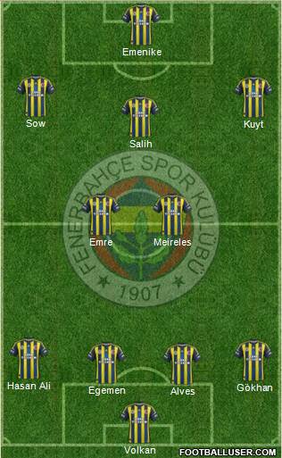 Fenerbahçe SK Formation 2013
