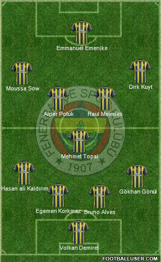 Fenerbahçe SK Formation 2013