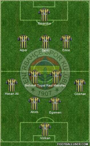 Fenerbahçe SK Formation 2013