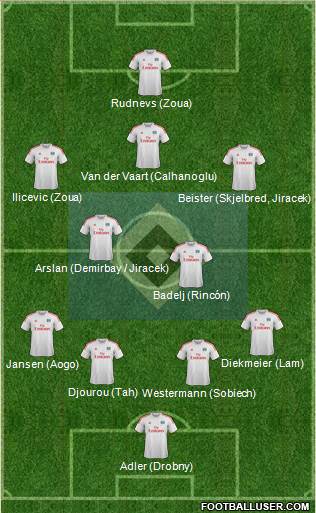 Hamburger SV Formation 2013