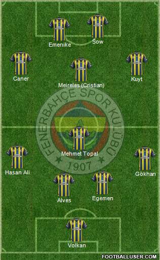 Fenerbahçe SK Formation 2013