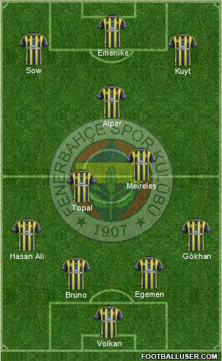 Fenerbahçe SK Formation 2013