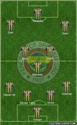 Fenerbahçe SK Formation 2013