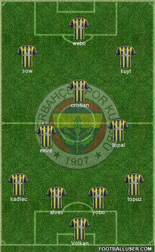 Fenerbahçe SK Formation 2013