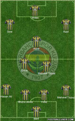 Fenerbahçe SK Formation 2013