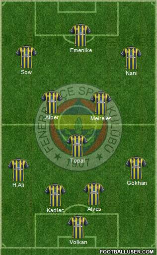 Fenerbahçe SK Formation 2013