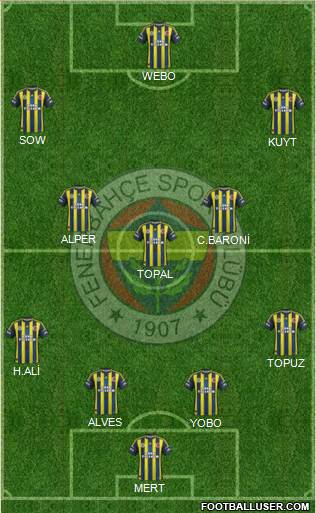 Fenerbahçe SK Formation 2013