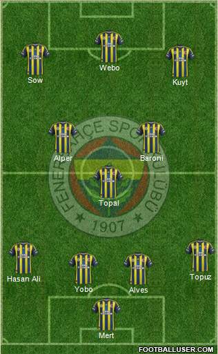 Fenerbahçe SK Formation 2013