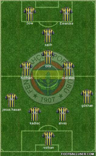 Fenerbahçe SK Formation 2013