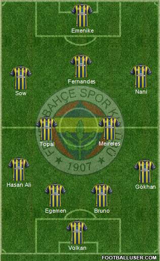 Fenerbahçe SK Formation 2013