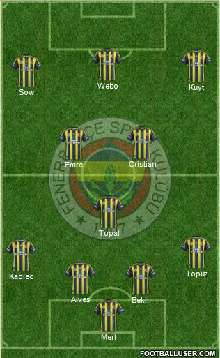 Fenerbahçe SK Formation 2013