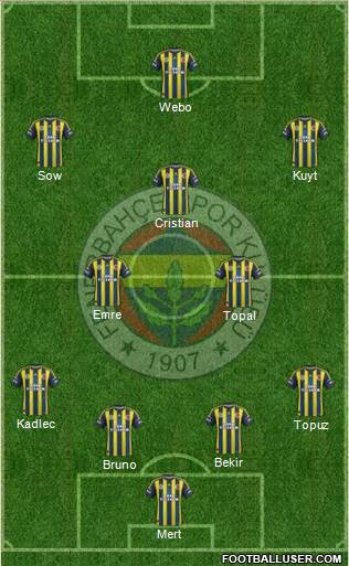 Fenerbahçe SK Formation 2013