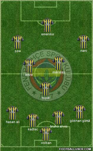 Fenerbahçe SK Formation 2013